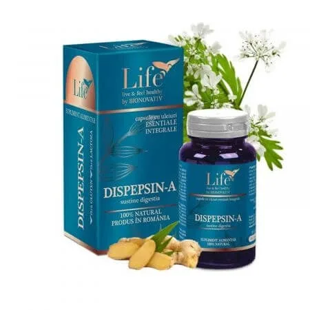 Capsule Dispepsin - A cu uleiuri esentiale, 30 capsule, Bionovativ — preț și oferte