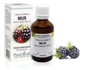 Extract mladite mur x 50ml (PLX)