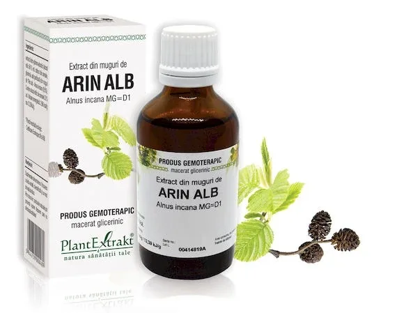Extract muguri arin alb x 50ml (PLX) PLANTEXTRAKT — preț și oferte