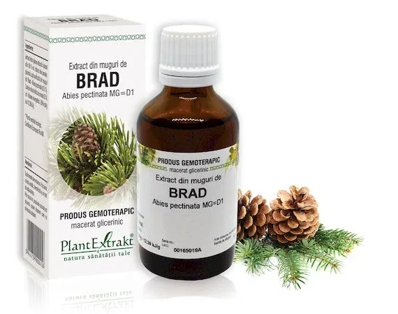 Extract muguri brad x 50ml (PLX) PLANTEXTRAKT — preț și oferte