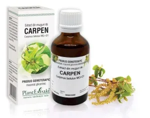 Extract muguri carpen x 50ml (PLX)