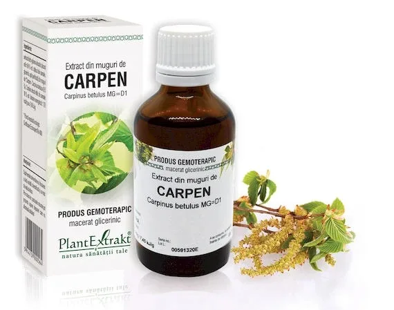 Extract muguri carpen x 50ml (PLX) PLANTEXTRAKT — preț și oferte