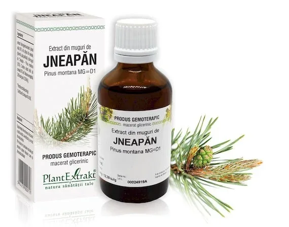 Extract muguri jneapan x 50ml (PLX) PLANTEXTRAKT — preț și oferte