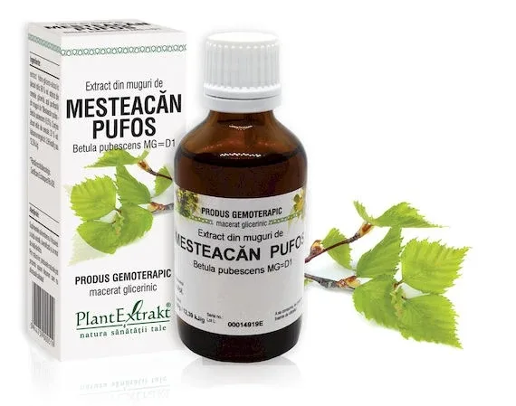 Extract muguri mesteacan pufos 50ml(PLX) PLANTEXTRAKT — preț și oferte