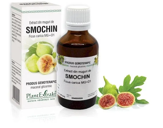 Extract muguri smochin x 50ml (PLX) PLANTEXTRAKT — preț și oferte