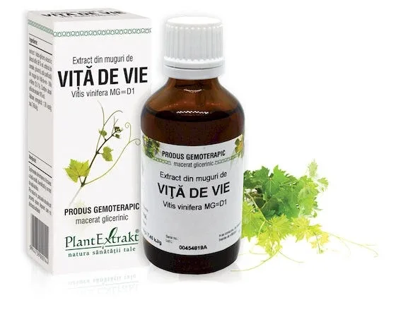 Extract muguri vita vie x 50ml (PLX) PLANTEXTRAKT — preț și oferte