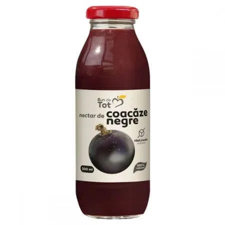 Nectar de coacaze negre fara zahar Bun de Tot, 300 ml, Dacia Plant — preț și oferte