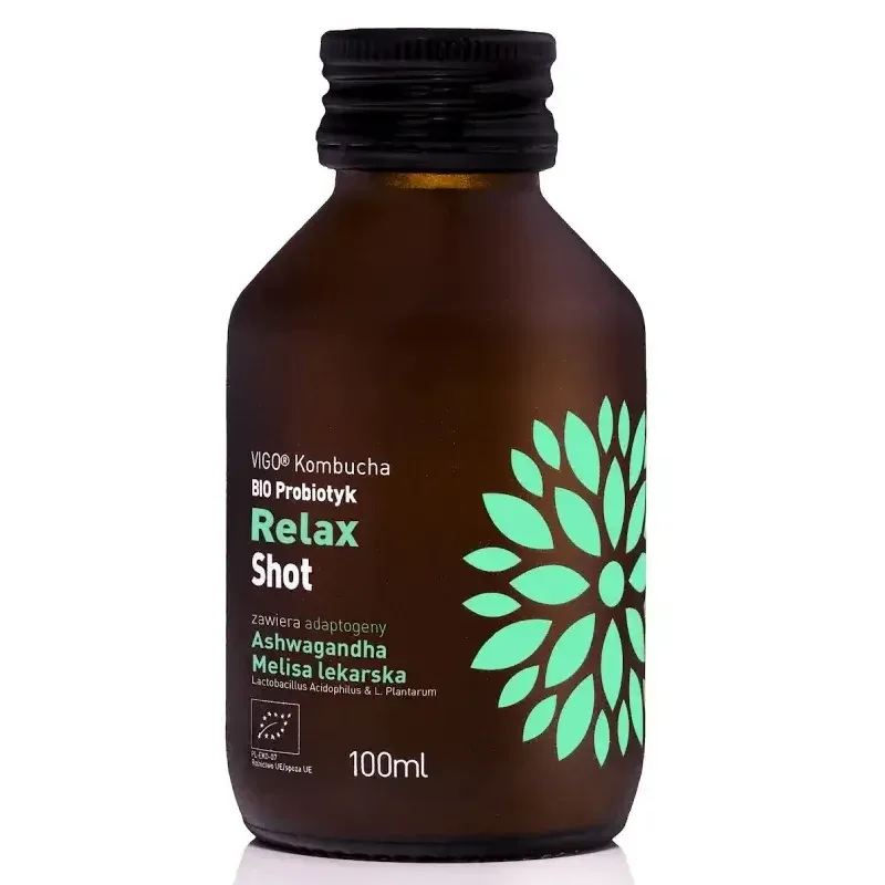 Ceai bio fermentat cu probiotice Kombucha Shot Relax, 100 ml, Vigo — preț și oferte
