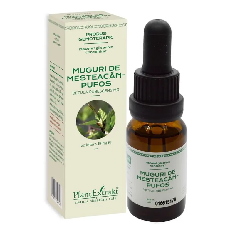 Muguri de mesteacan pufos, 15 ml, Plant Extrakt — preț și oferte