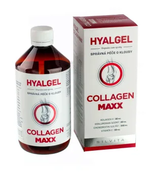 Silvita HYALGEL COLLAGEN MAXX preparat lichid cu aromă de portocale 500 ml