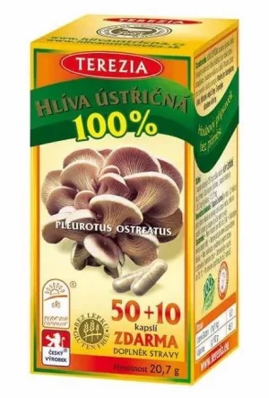 Terezia Oyster mushroom 60 capsule