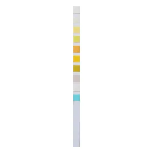 Home Laboratory URS 10 General Urinalysis, test la domiciliu pentru parametrii urinei, 2 unități