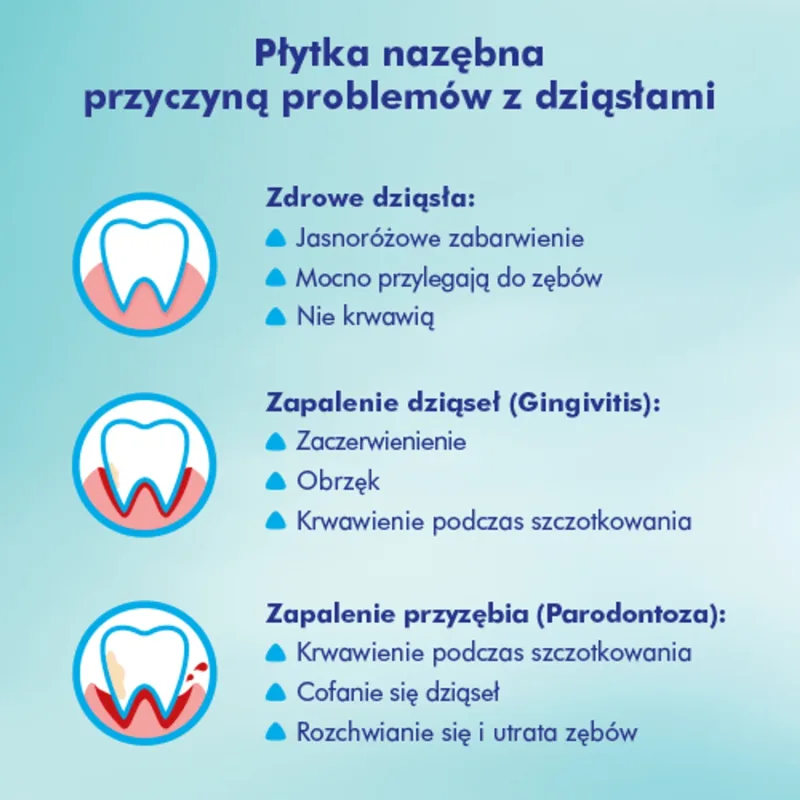 Meridol, periuță de dinți, moale, 1 bucată — preț și oferte