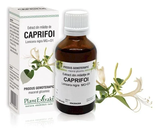 Extract mladite caprifoi x 50ml (Plx) PLANTEXTRAKT — preț și oferte