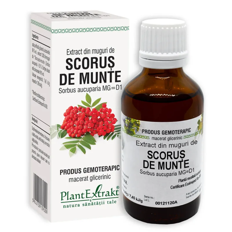 Extract muguri scorus x 50ml (PLX) PLANTEXTRAKT — preț și oferte