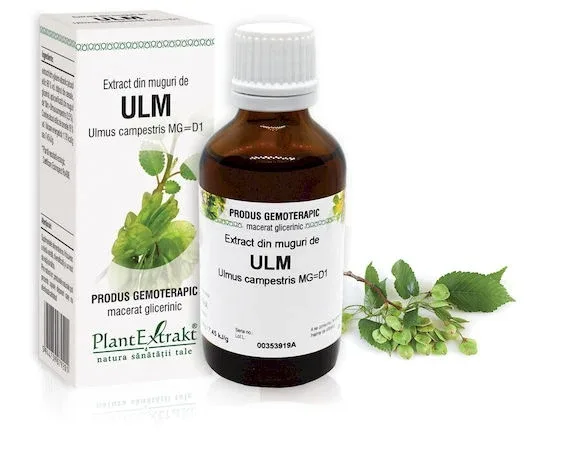 Extract muguri de ulm x 50 ml (PLX) PLANTEXTRAKT — preț și oferte