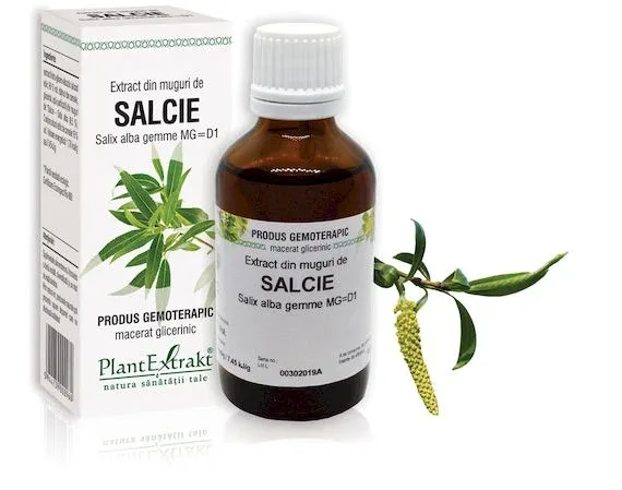 Extract muguri salcie x 50ml (PLX) PLANTEXTRAKT — preț și oferte