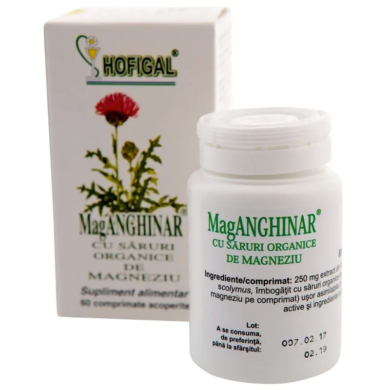 MagAnghinar, 60 comprimate, Hofigal — preț și oferte