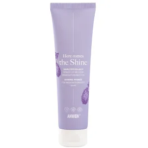 Anwen Here Comes The Shine, grund de strălucire pentru păr mediu poros, 100 ml