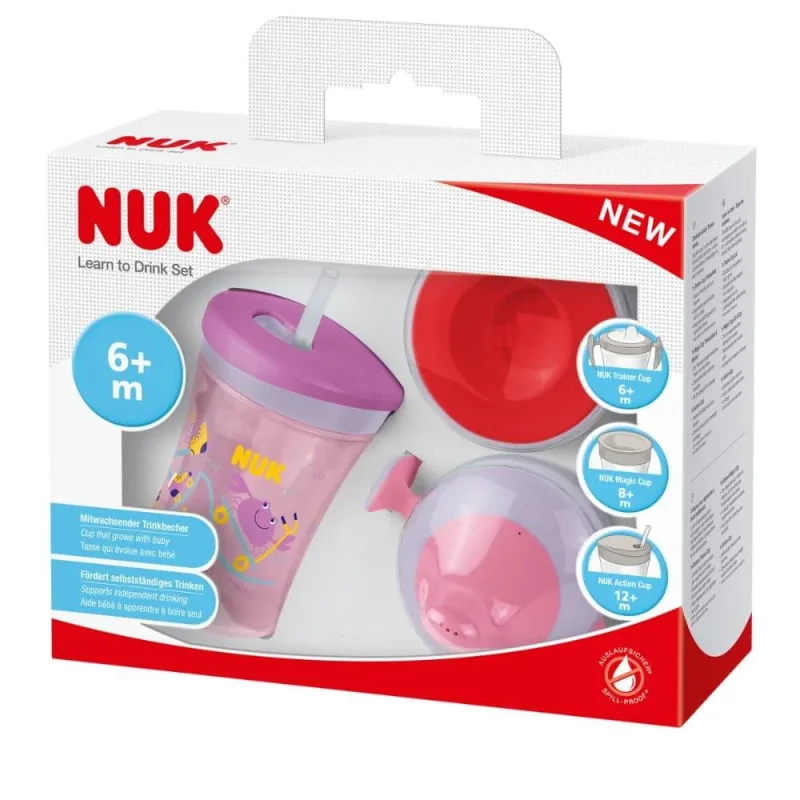 Cana All in 1 invat sa beau, +6 luni, 230 ml, Nuk — preț și oferte
