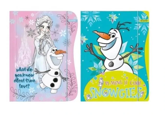 Dosar A4 cu bandă elastică, Frozen ASTRA — preț și oferte