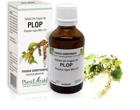Extract muguri plop x 50ml (PLX) PLANTEXTRAKT — preț și oferte