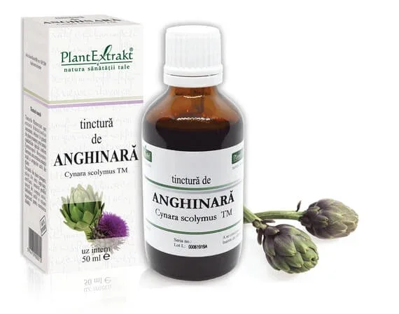 Tinctura Anghinara x 50ml (PLX) PLANTEXTRAKT — preț și oferte