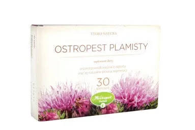Ciulin de lapte Only Nature 30 capsule — preț și oferte