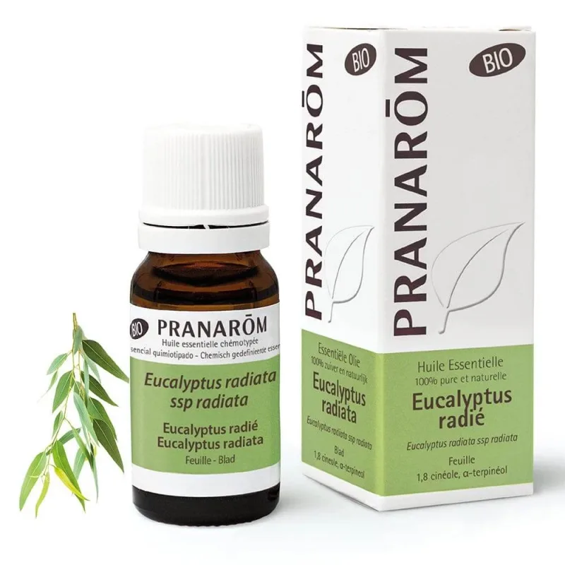 Pranarôm Uleiuri esențiale Eucalipt Radie Organic 10ml — preț și oferte
