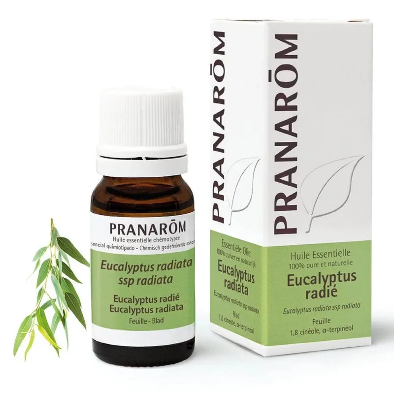 Pranarôm Essential Oils Eucalyptus Radie 10ml — preț și oferte