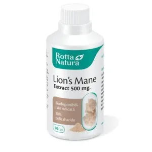 Lion's Mane, 500 mg, 90 capsule, Rotta Natura