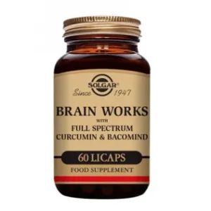Solgar Brain Works 60 file