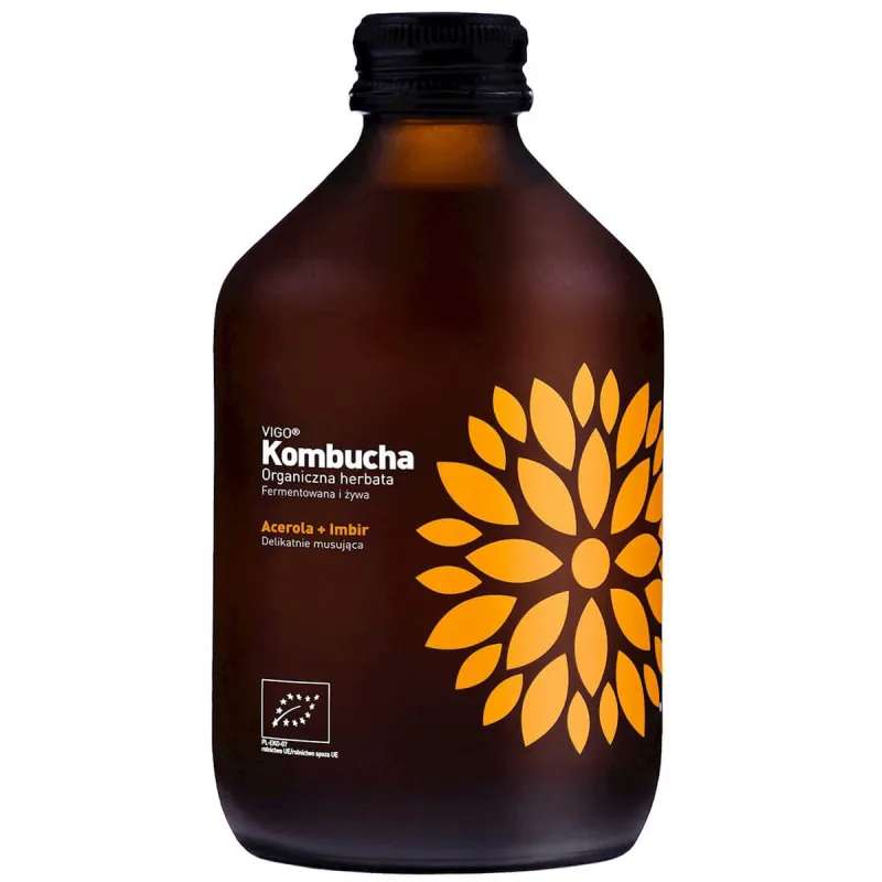 Vigo, kombucha Bio Acerola + Ghimbir, 330 ml — preț și oferte