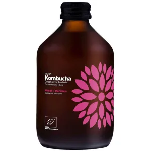 Vigo, kombucha Bio Mango + fructul pasiunii, 330 ml