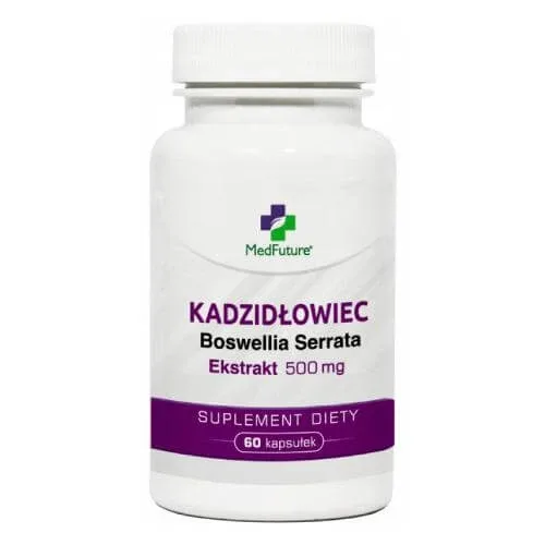 MedFuture Frankincense Boswellia serrata extract 500mg, 60 capsule — preț și oferte