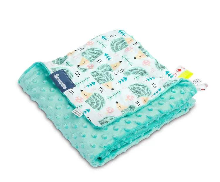 Pătură Minky - Arici Mint 75X100 — preț și oferte