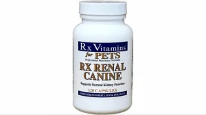 RX Renal Caine 120 capsule