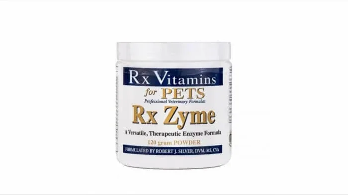 RX Zyme Pulbere 120 g RX Vitamins — preț și oferte