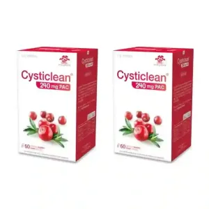 Cysticlean 240 Mg Pac, 2X60 Capsule