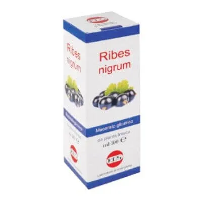 Ribes nigrum macerat gliceric 100 ml picături — preț și oferte