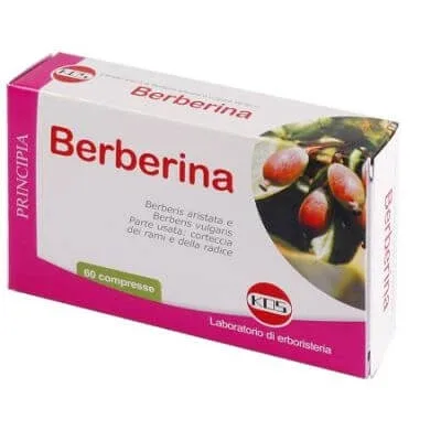 Berberină extract uscat 60 comprimate — preț și oferte