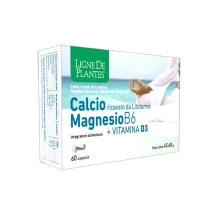 Calciu + magneziu b6 + vitamina d3 60 capsule — preț și oferte