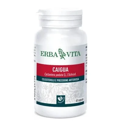 Caigua 60 capsule 400 mg — preț și oferte