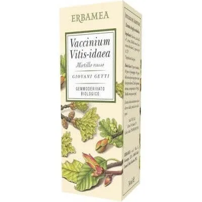 Vaccinium vitis idaea merișor organic 50 ml — preț și oferte