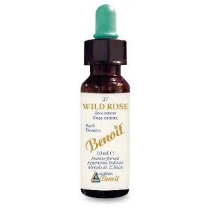 Bach flori benoit trandafir sălbatic 10 ml