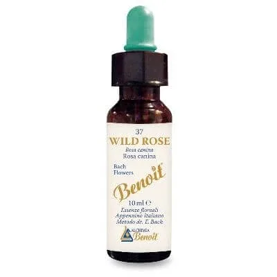Bach flori benoit trandafir sălbatic 10 ml — preț și oferte
