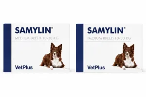 Samylin Medium Breed, 2x30 tablete, VetPlus