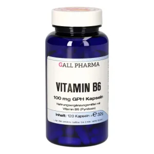 Vitamina B6 100 mg GPH Capsule 120 Capsule
