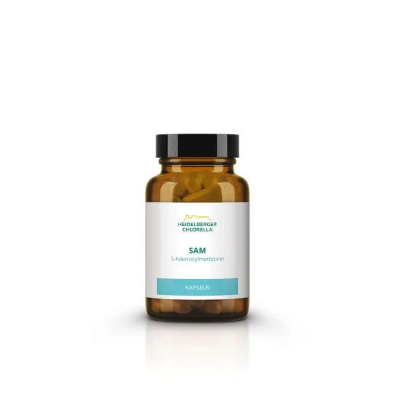 SAM S-adenozilmetionină capsule 60 Capsule — preț și oferte