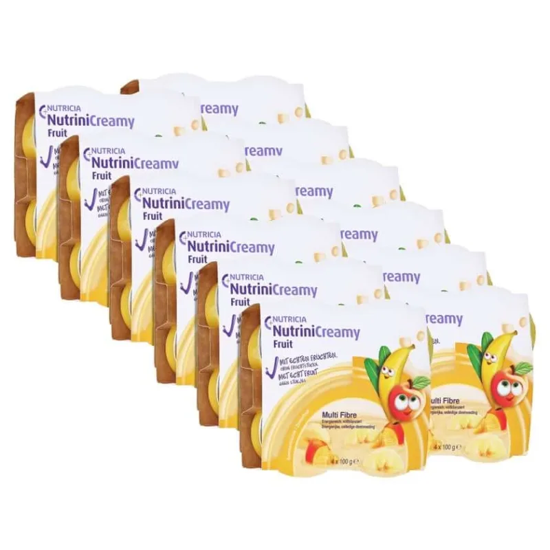 Nutrini Creamy Fruit Fructe de vară 48X100 g NUTRICIA — preț și oferte